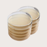 Agar Plates (20 plates)