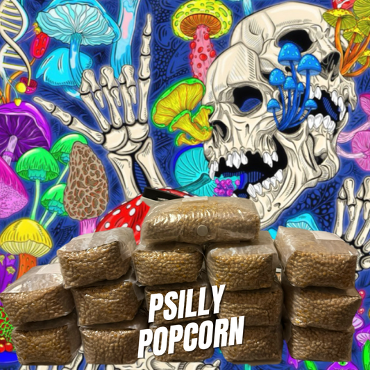 Psilly Popcorn Grain Spawn